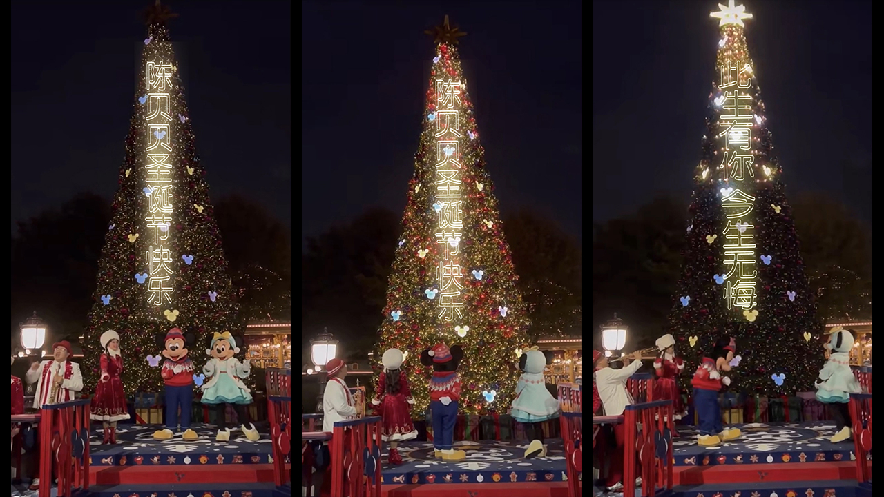 113儿童圣诞节表演