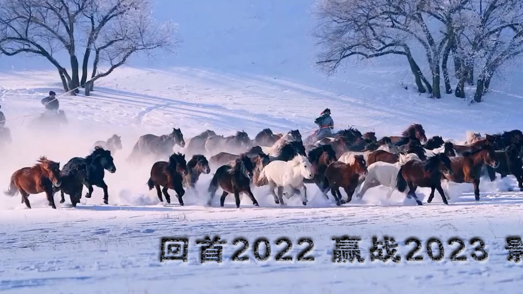 78雪地策马奔腾